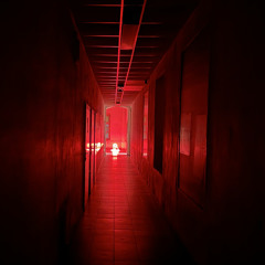 Mute Muta : Passage