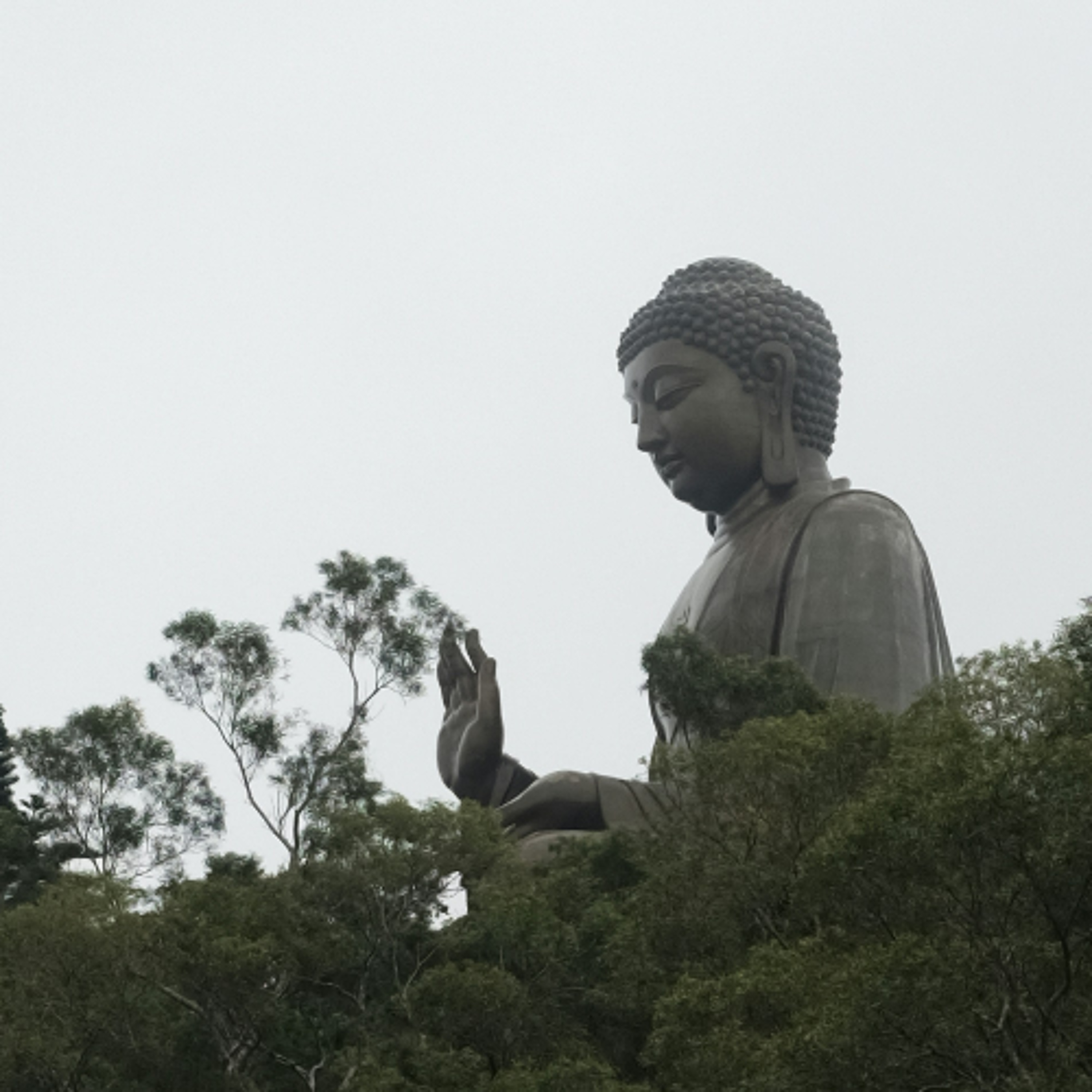 Ep. 555 Lettura di sutta sul ritiro