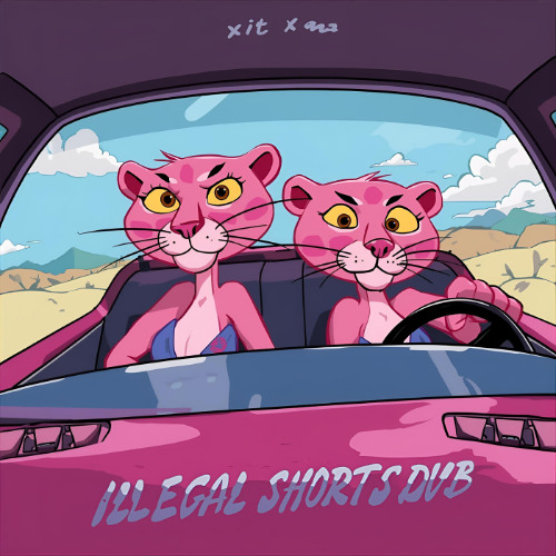 PinkPantheress - Illegal (shorts Dub) [FREE DOWNLOAD]