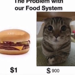 I Want You- cortex (Slowed)