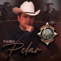 Te La Vas A Pelar
