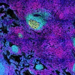 Won't Be Long (Trip Hop)