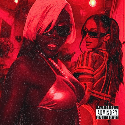 HOT LIKE SAVAGE FUNK (BREE RUNWAY X ANITTA)