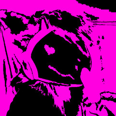 can i be your protogen?