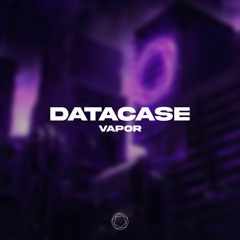 Datacase - Vapor