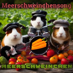 Meerschweinchensong (Dancemix)