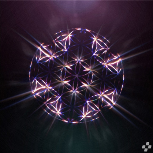 MINIMA - GRAVITON [FREE]