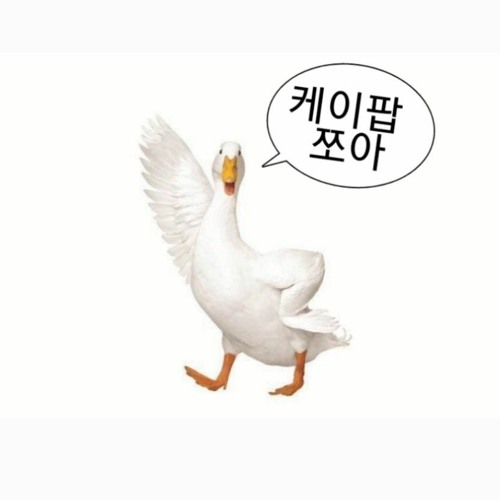 주인장 취향 골라 담은 케이팝 플레이리스트