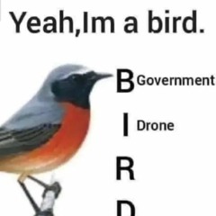 government drone