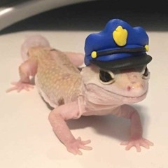 covered in money remix