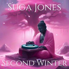 Suga Jones Second Winter (Soulful dnb Mixxx)