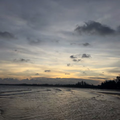 Anh muốn nhìn thấy em