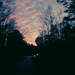 \\ in the party alone