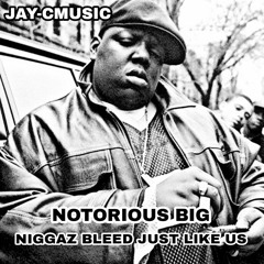 Notorious B.I.G Niggaz bleed just like us