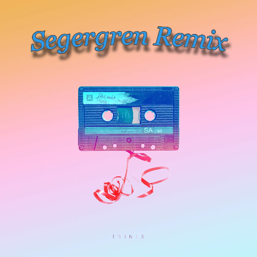 She Said (Big Jet Plane) - Segergren Remix