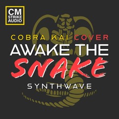 Cobra Kai - Awake The Snake (Synthwave Cover)