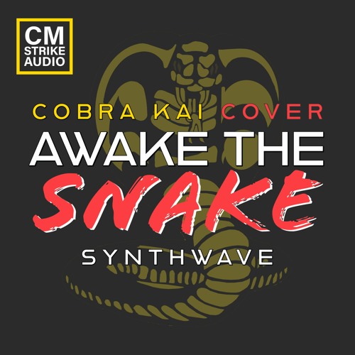 Cobra Kai Covers