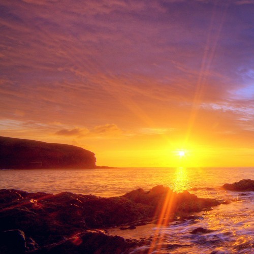 B.Free Live At Ecstatic Dance 1.15.23 Maui (It's A Beautiful Dayyy)