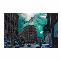 لـقـطـات مـن الـشـارع '