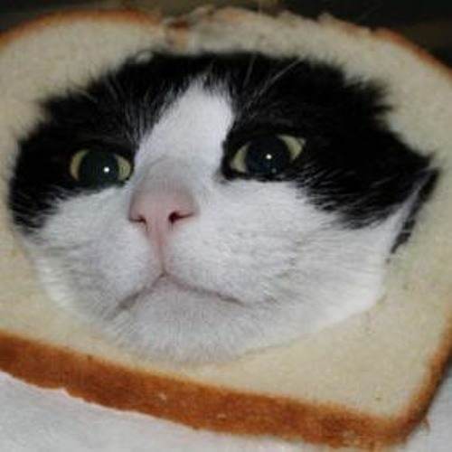 rämmar✞︎☠︎︎