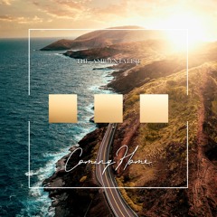 The Ambientalist - Coming Home