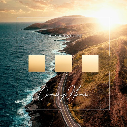 The Ambientalist - Coming Home