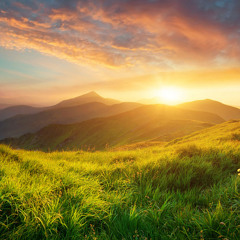 LOVELY LAND