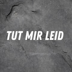 Tut Mir Leid (Pastiche/Remix/Mashup)