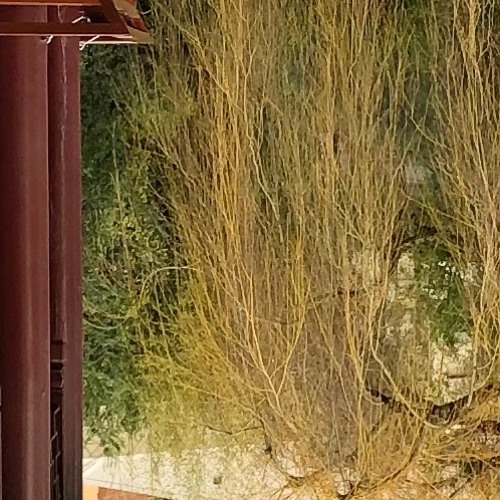 Bootlegs, edits, and others