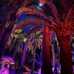 Wisebeat @ Bonjuk Bay - Love Weekend 2024