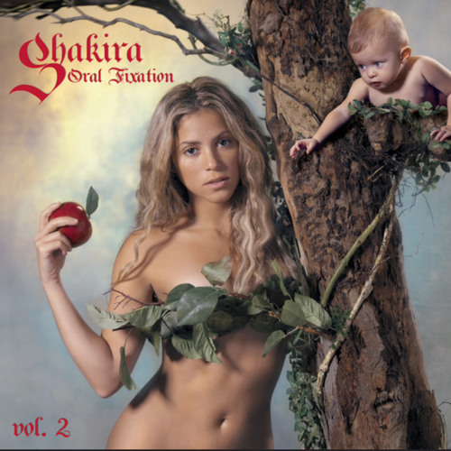 Shakira -Hips Dont Lie (CGV Edit)