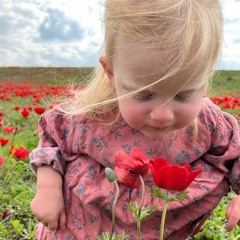 ניר אביעד - פסח תשפ"ד -  מחשבות על חרות