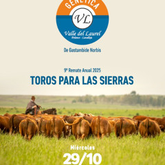 Carmelo Gastambide - Toros de las Sierras