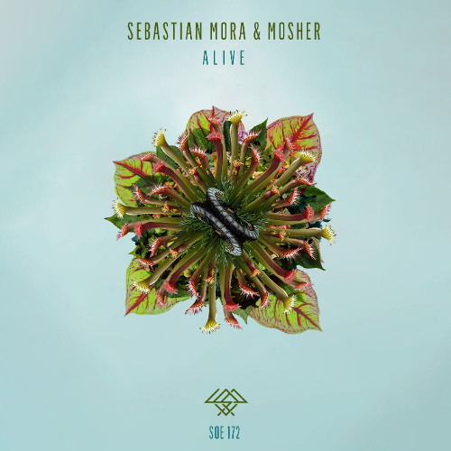 SOE172 Sebastian Mora & Mosher - Matters (Original Mix)