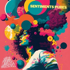Sentiments Pures -(MASHUP FREE-DOWNLOAD)(The joubert singer, Yuksek Purple disco m., Electro deluxe)