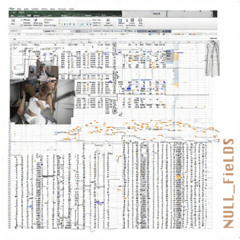 Null_Fields