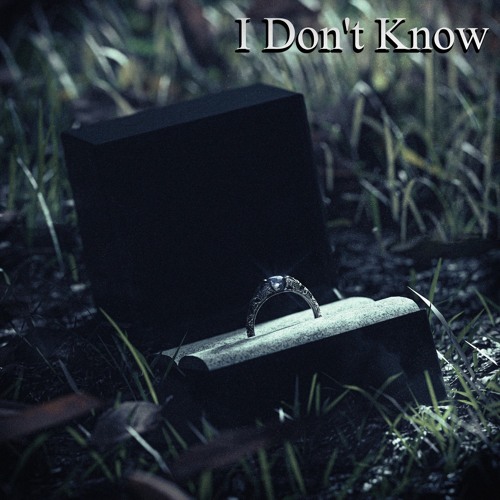 I Don't Know