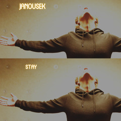 JANOUSEK - STAY