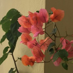 Thế Giới Có Nơi Nào Cho Em...-(mixbynicolai)