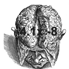 4.1x -8