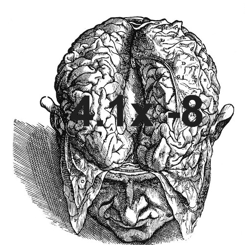 4.1x -8