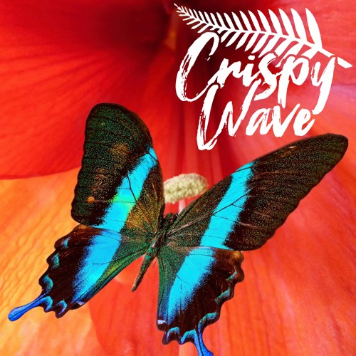 CW Radio 63 ⑊ butterfly (cocoon)