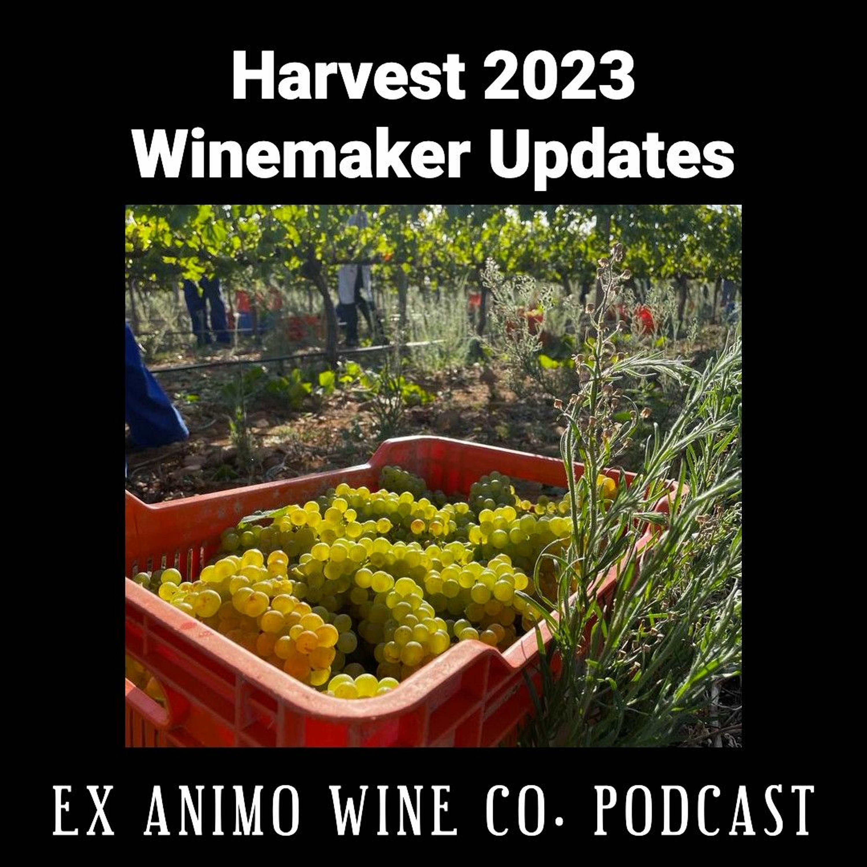 Harvest 2023 Update