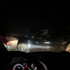 Dice que quiere- Young Cister