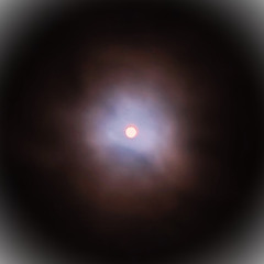 Caught (Known to be human not AI)