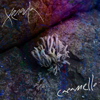 Xenoula - Caramello