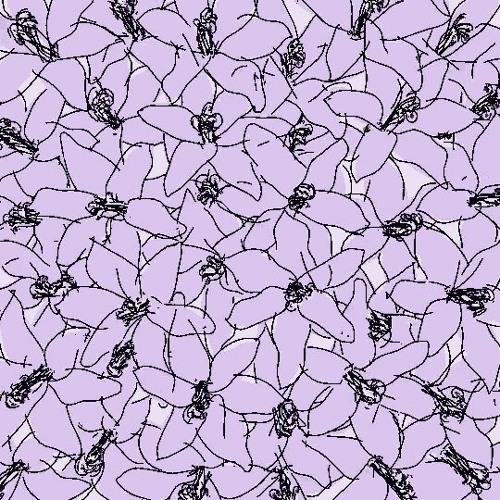 Nhân - Bloom