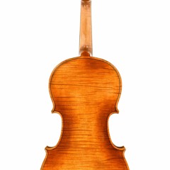 Corilon 2024 violin shop