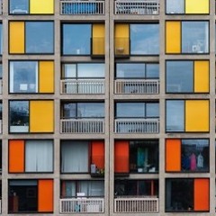 Park Hill Party (Part 2)