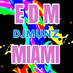 THE ULTIMATE MIAMI EDM, CLUB MIX @WYNWOOD ,ARE YOU READY TO PARTY!?!?!?